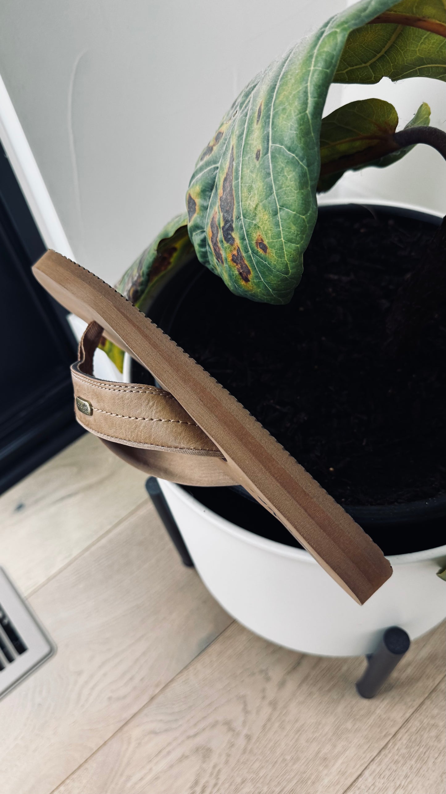 Lokoa V1